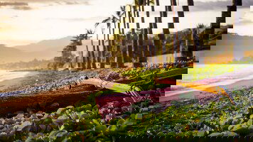 13 Day Jewels of Timor (Crooked Compass)