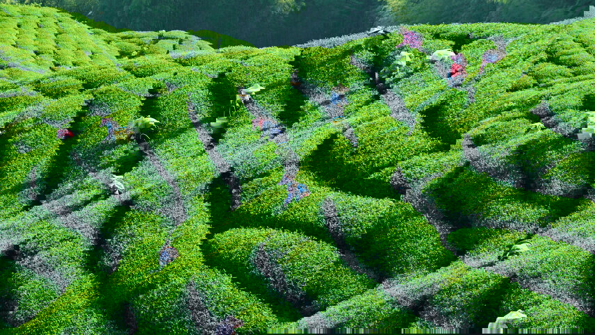 Land of Jade & Tea – Active Taiwan