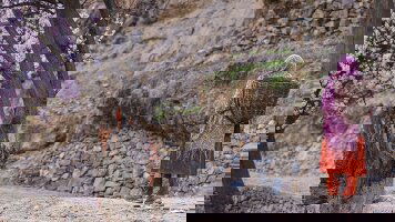 19 Day Pure Pakistan including Shandur Festival (Crooked Compass)