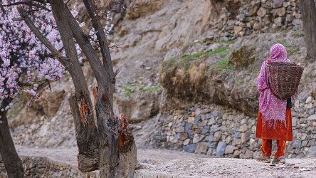 19 Day Pure Pakistan including Shandur Festival (Crooked Compass)