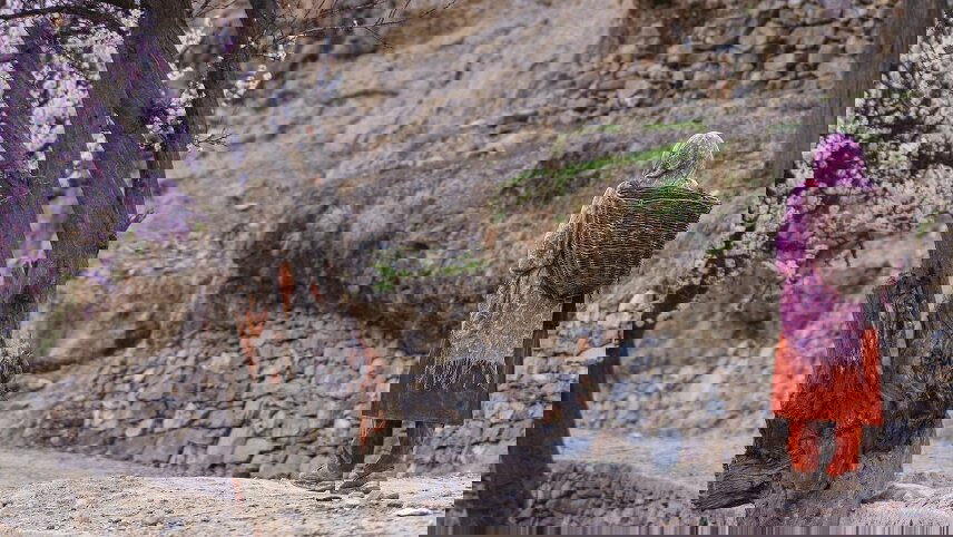 Pure Pakistan including Shandur Festival