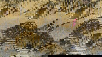 10 Day Rural Rajasthan (Crooked Compass)