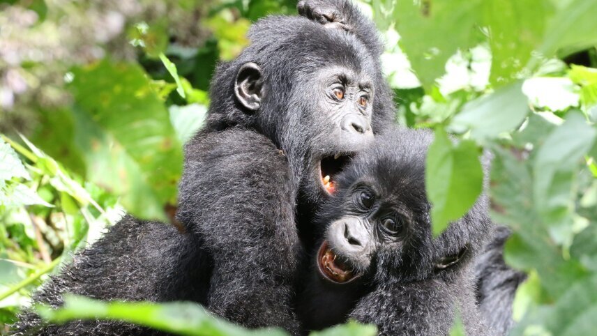 Remarkable Rwanda