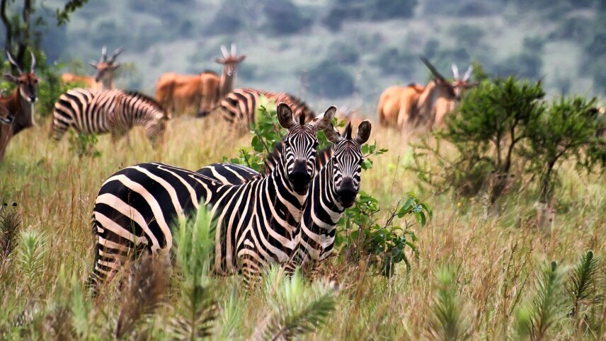 Remarkable Rwanda