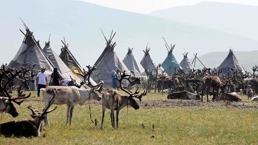 Reindeer Tribes of Mongolia