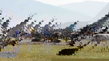 13 Day Reindeer Tribes of Mongolia (Crooked Compass)
