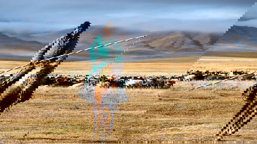 Reindeer Tribes of Mongolia