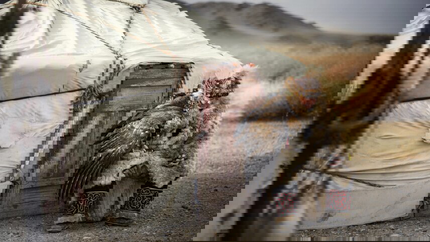 Snow Leopards of Mongolia