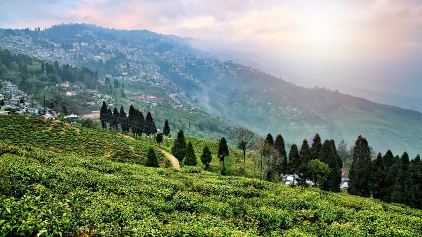 Sikkim & West Bengal