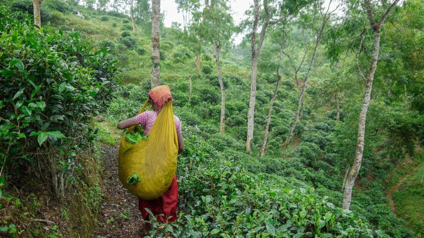 Treasures of Bangladesh