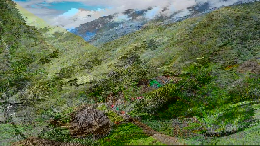 Tree House Tribes & Baliem Valley