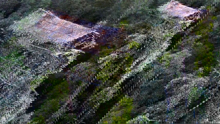 Tree House Tribes & Baliem Valley