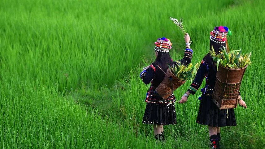 Tribal Heartlands of Vietnam & China