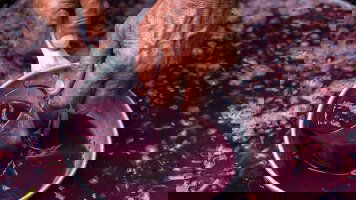 8 Day A Taste of Moldova (Crooked Compass)