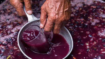 8 Day A Taste of Moldova (Crooked Compass)