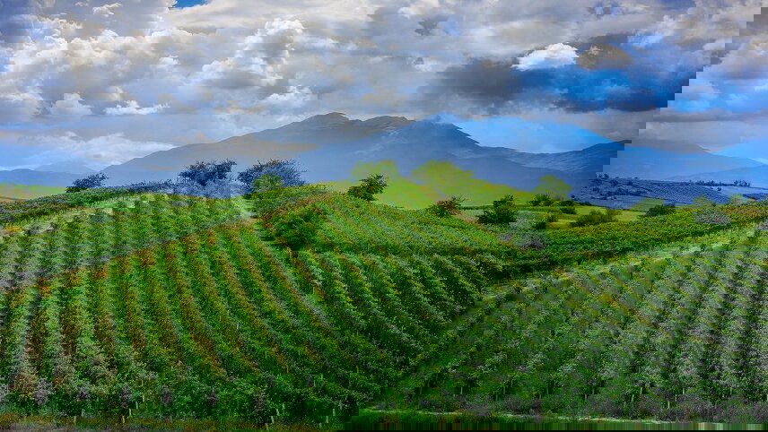 Untamed Northern Albania, Kosovo & North Macedonia