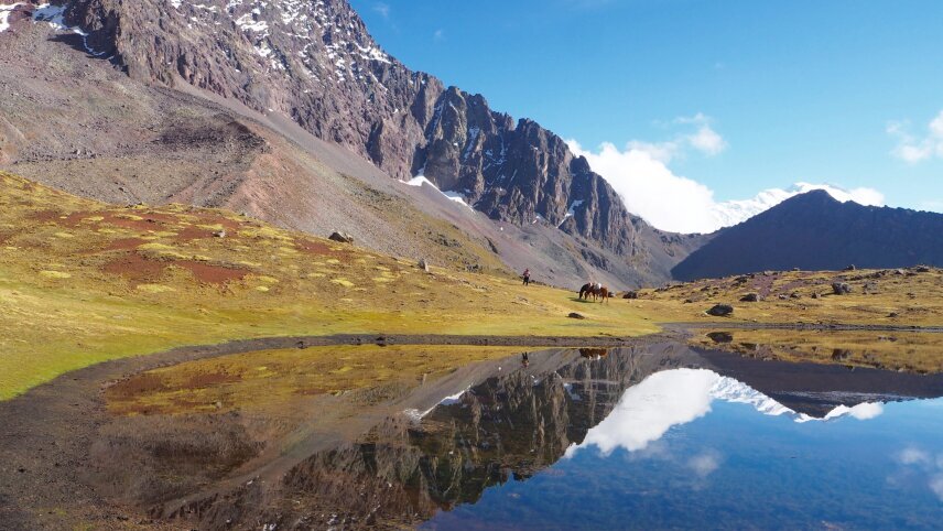 Wild Peru