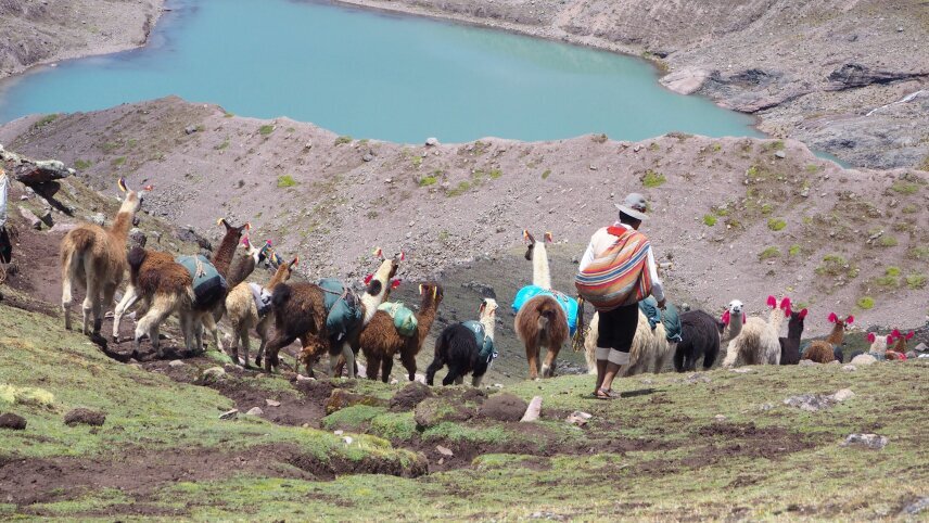 Wild Peru