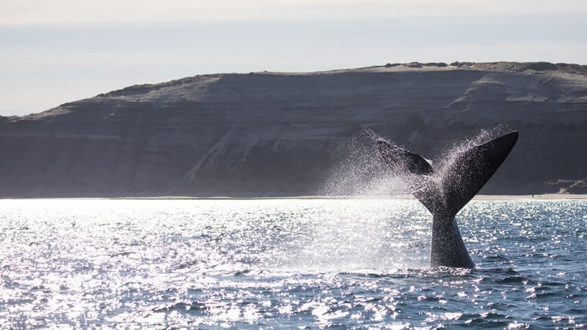 Puerto Madryn