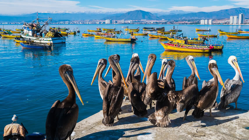 Coquimbo