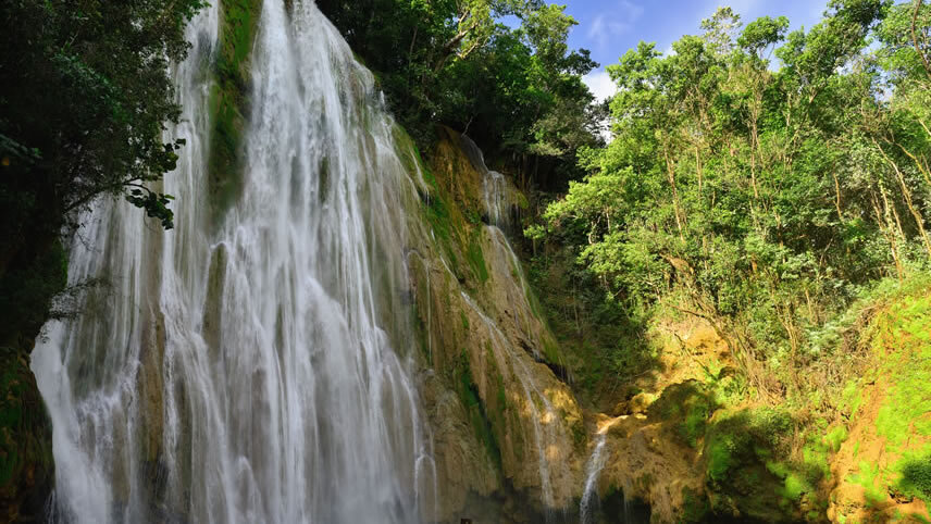 Samana