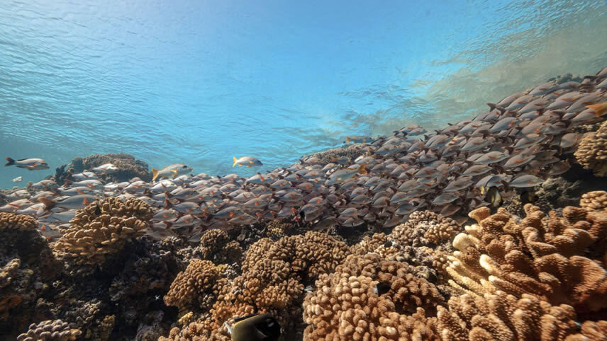 Fakarava