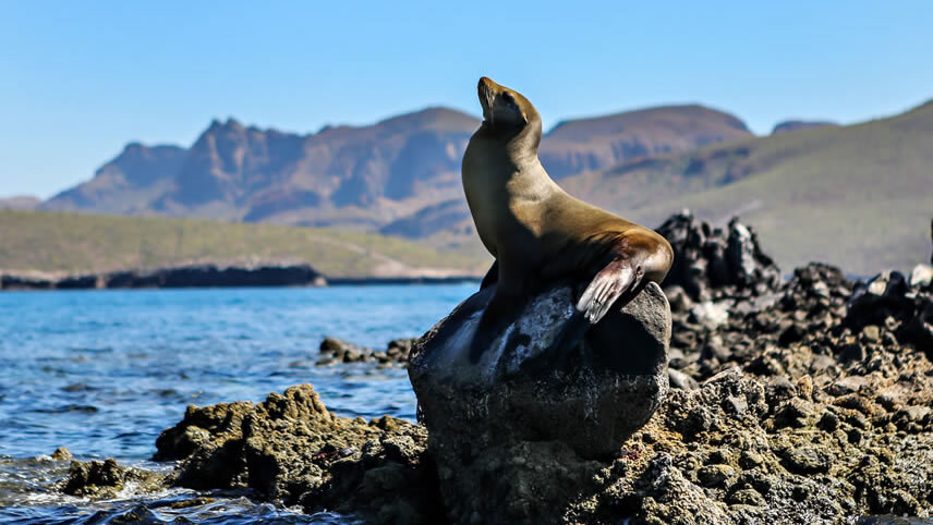 La Paz