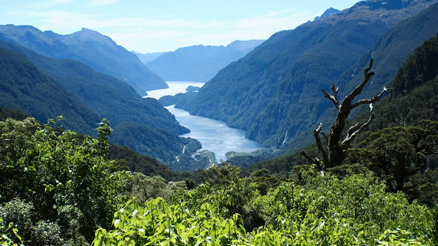 Doubtful Sound