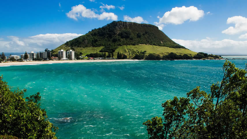 Tauranga & Rotorua
