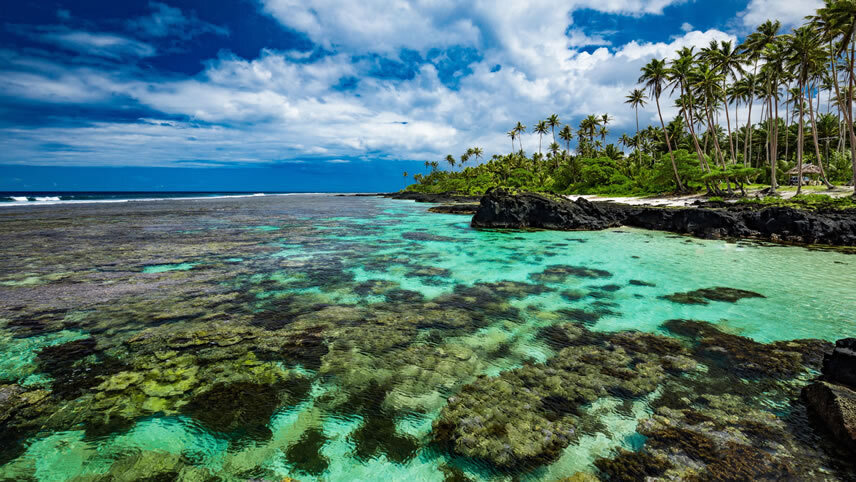 Apia