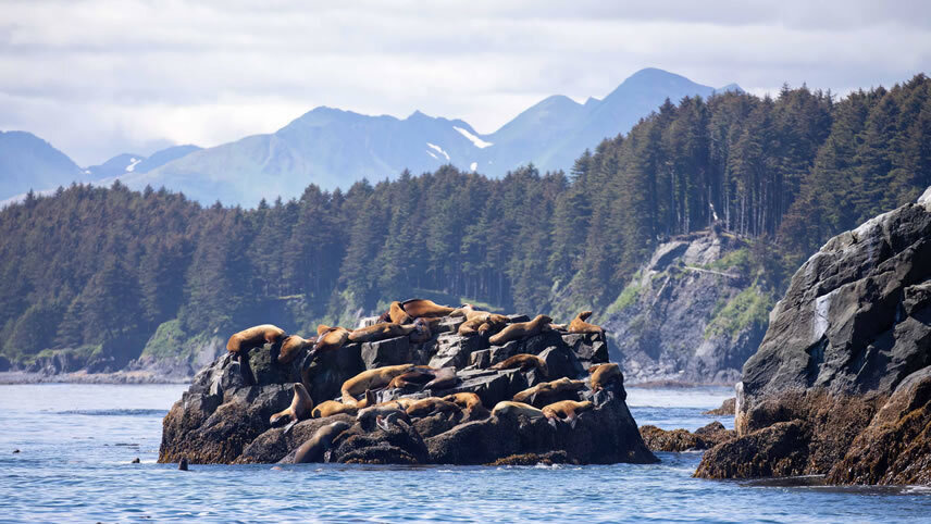 Kodiak Island