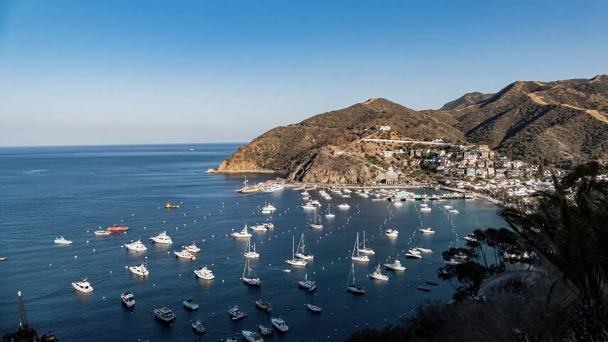 Catalina Island
