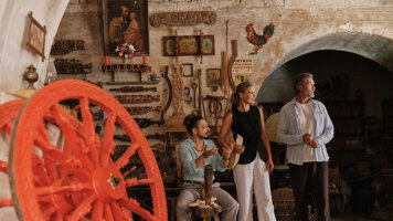 Shore Excursions