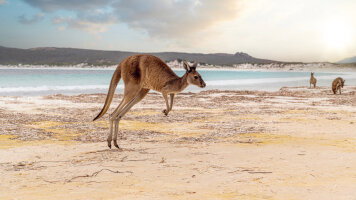 14 Day Melbourne to Benoa, Bali (Crystal)