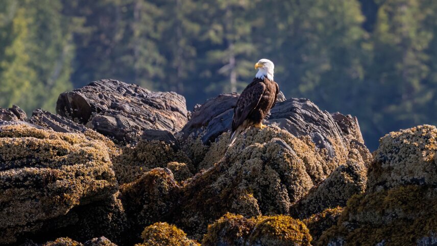 Seward, Alaska to Vancouver