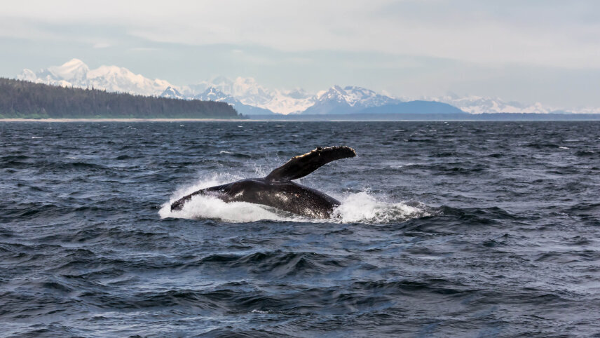 Vancouver to Seward