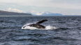 8 Day Vancouver to Seward (Crystal)