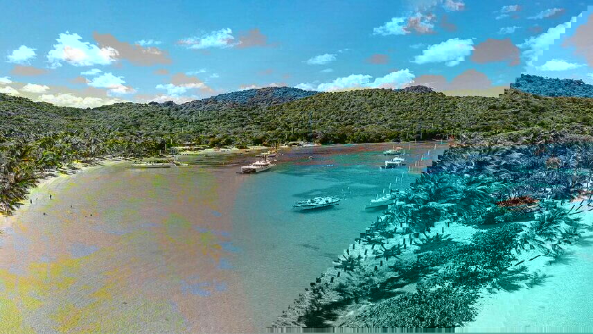 Discover the Best of the Caribbean