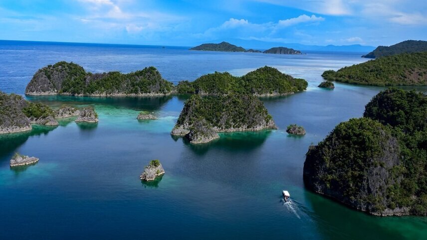Discover the Heart of the Pacific