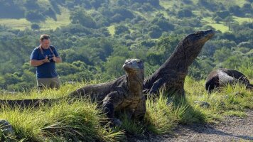 13 Day Komodo Island & the Coral Sea: Bali to Darwin (Emerald Cruises)