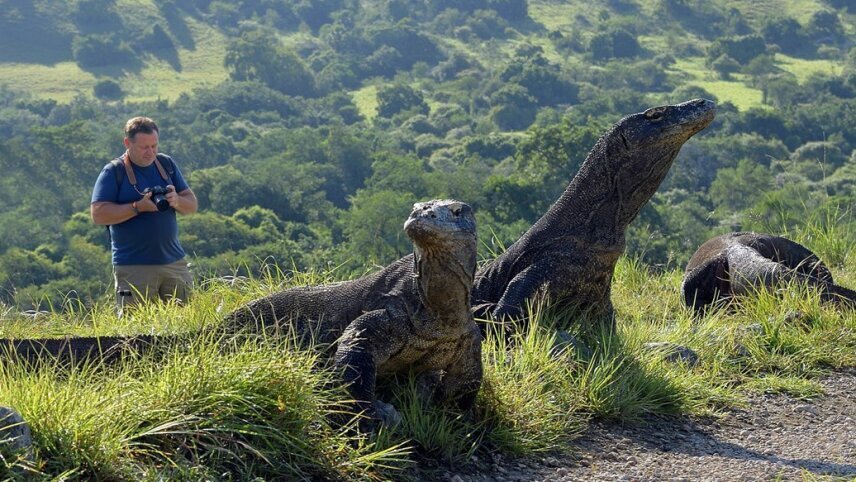 Komodo Island & the Coral Sea: Darwin to Bali