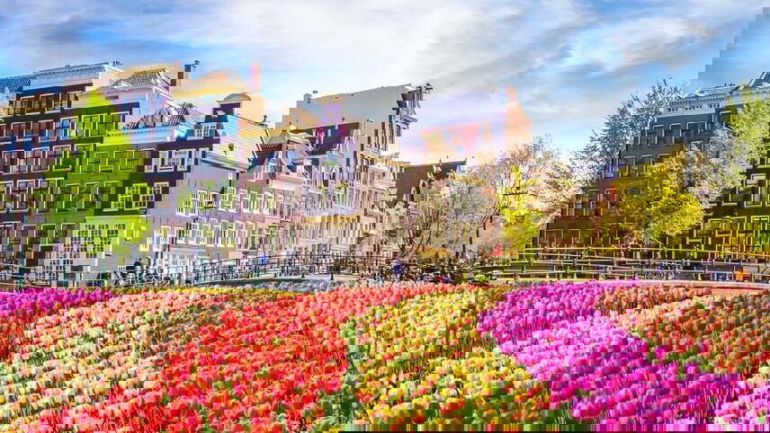 Belgian Delights & Holland in Bloom