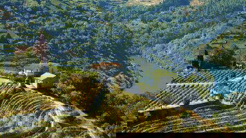 14 Day Madrid to Lisbon & Secrets of the Douro (Emerald Cruises)