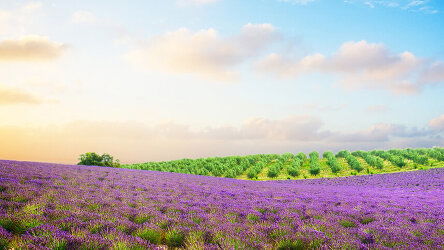 10 Day Aix-en-Provence with Sensations of Lyon & Provence (Emerald Cruises)