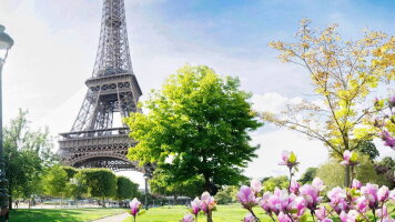 10 Day Paris & Sensations of Lyon and Provence (Emerald Cruises)