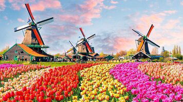 8 Day Tulips & the Rhine (Emerald Cruises)