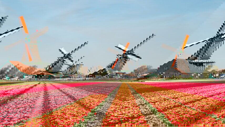 Discover the Tulips of the Rhine & Rhone River Cruise