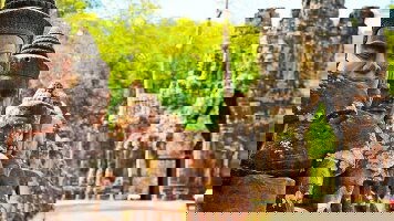 11 Day Enchanting Mekong and Siem Reap (Emerald Cruises)