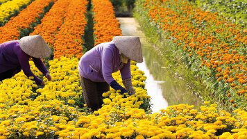 13 Day Enchanting Mekong and Siem Reap (Emerald Cruises)