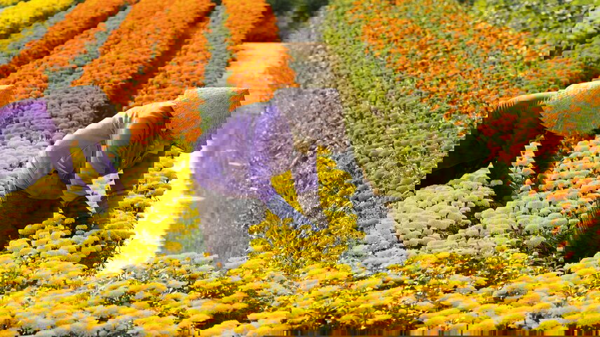 Enchanting Mekong and Siem Reap